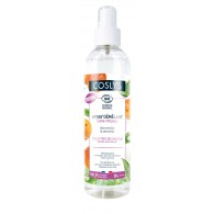 SPRAY ACONDICIONADOR DESENREDANTE ALOE VERA COSLYS 200ML.