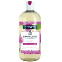 Coslys Champú Cabello Graso con Menta Piperita 500ml.