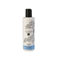 Unique Champú Hidratante 50ml. 