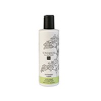Unique Champú Volumen 50ml Cabello